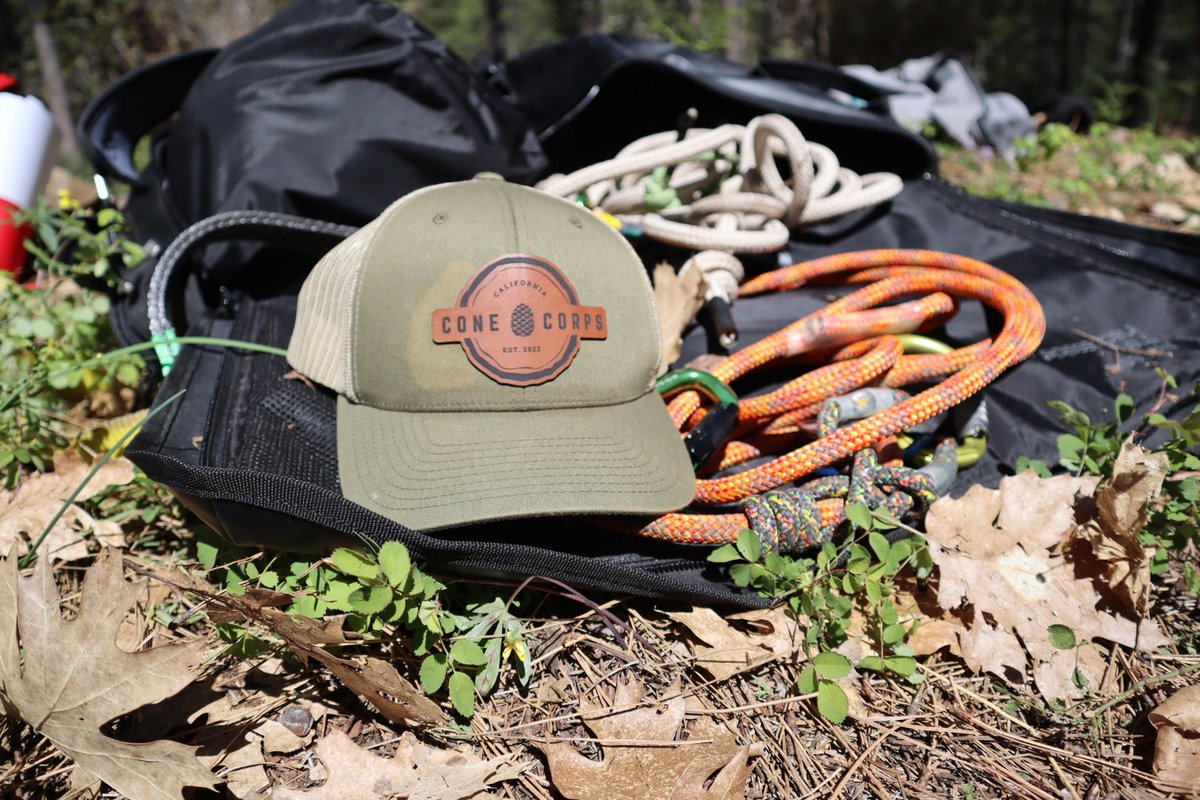 DyerDialogue's tweet photo. #Reforestation Job! Join the California #ConeCorps with @GBInstitute this summer to support @usfs_r5 in their cone monitoring efforts and efforts to close the seed gap in #California's public seed banks! https://t.co/aqg9fb1Wsf
#WorkforceSolutions https://t.co/rBUtYpL4Zz