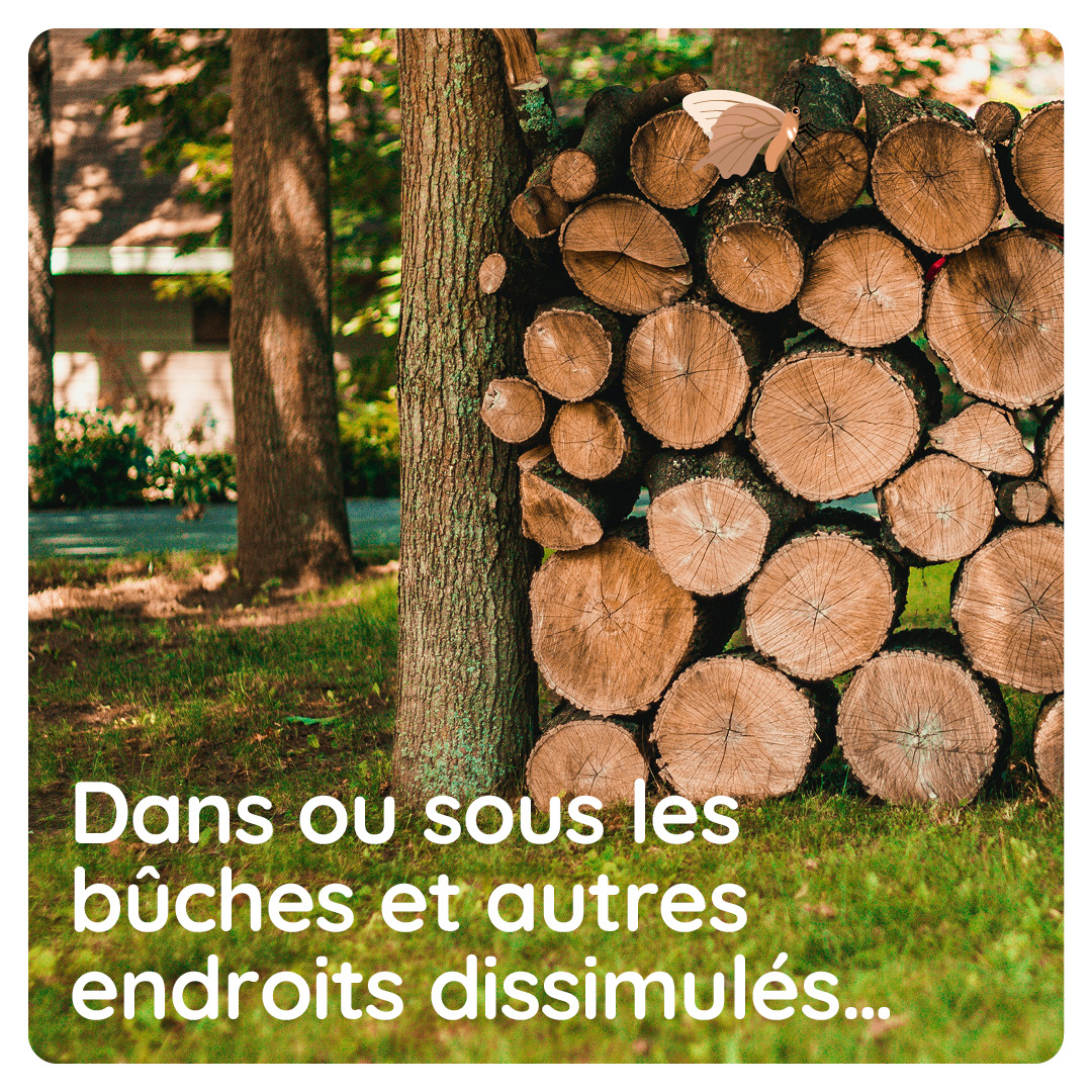 Commission de coopération environnementale tweet media