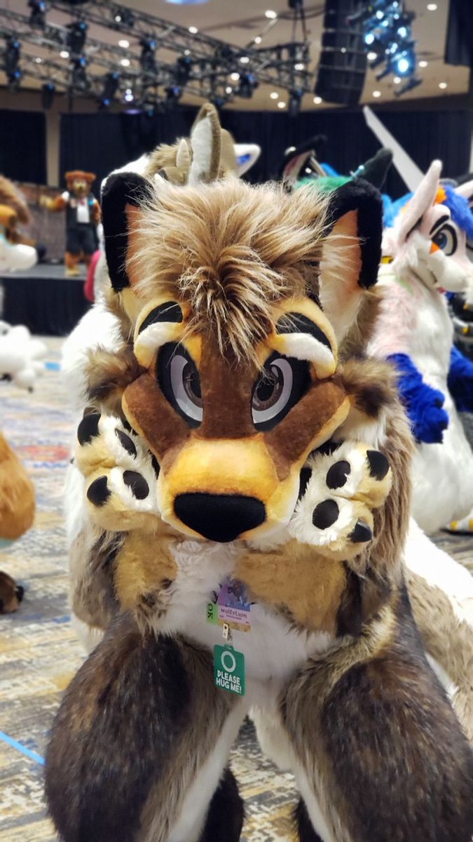 Your Royal Fluffiness (@wolfylion) on Twitter photo 