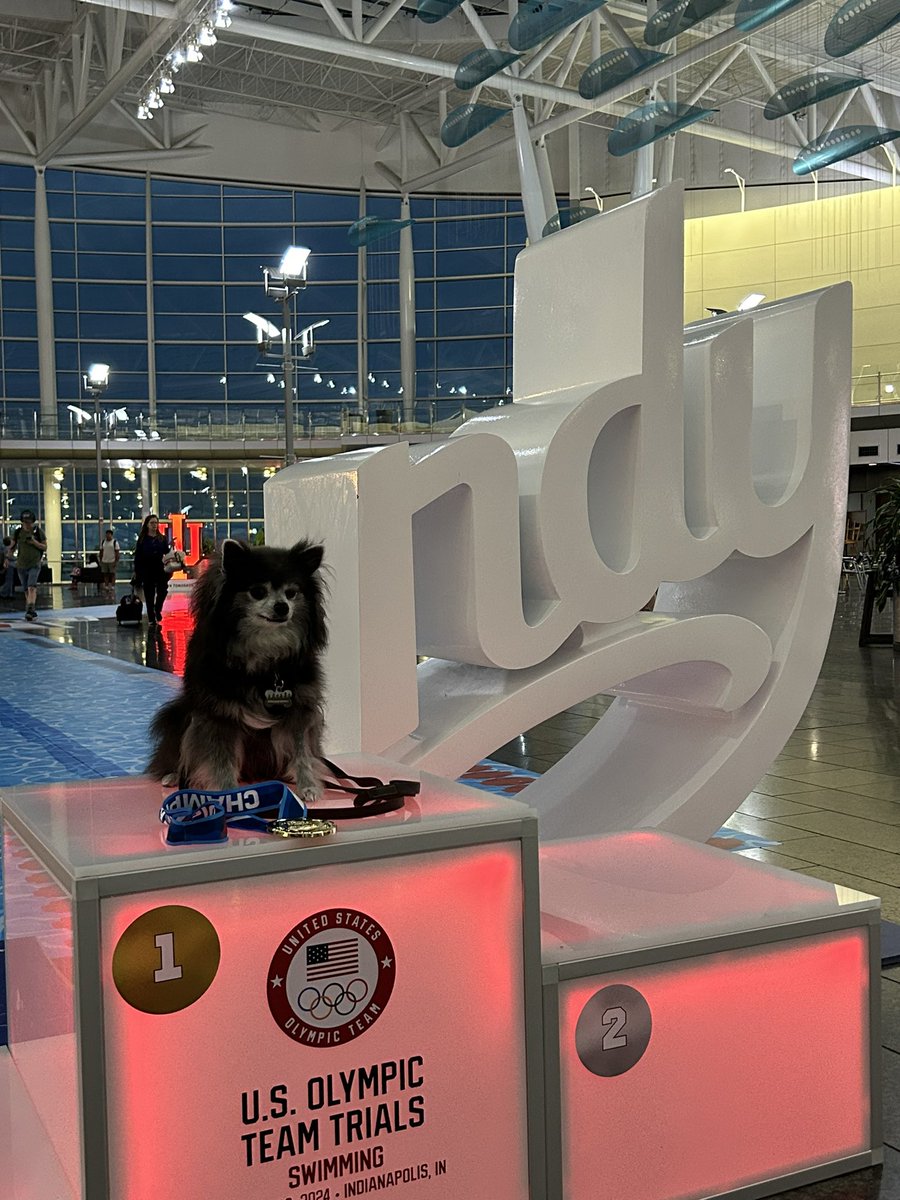 SpaldoBusiness's tweet photo. The @INDairport podium has been the biggest hit among arriving out-of-towners/travelers, kids and dogs alike! #swim24 @IndSportsCorp https://t.co/TAlxYAuxVo