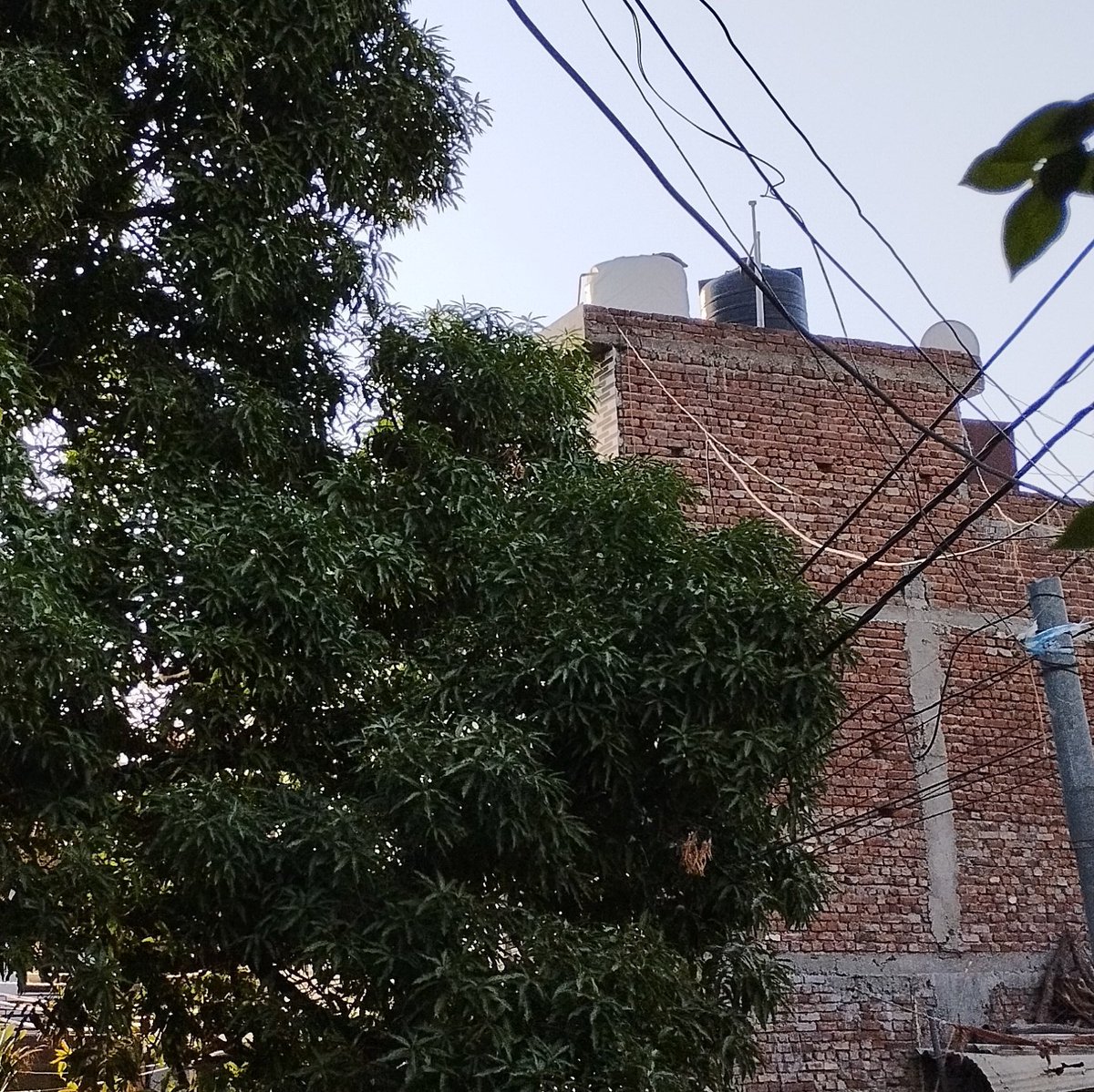 sarabmeet tweet media