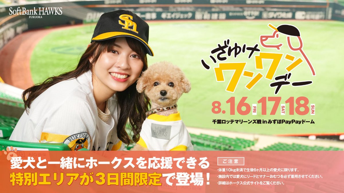 HAWKS_official's tweet photo. 8/16（金）～18（日）は #いざゆけワンワンデー🐶
愛犬と野球観戦が楽しめる #ワンワンシート、#ワンワンルーム のチケットを、明日6/15（土）10時より枚数限定で販売！購入特典として、試合後のグラウンドでお散歩も🐾 ワンちゃんと素敵な思い出を作ろう♪
https://t.co/KitVe8uFXF

#sbhawks https://t.co/BscQ53vYeL