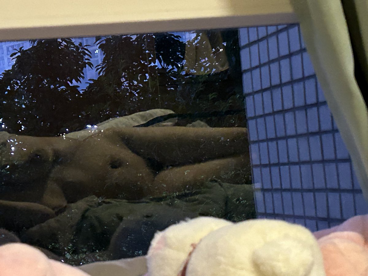 LDCCC53's tweet photo. 骚猪吃自己的F奶 https://t.co/53H0I56kLL