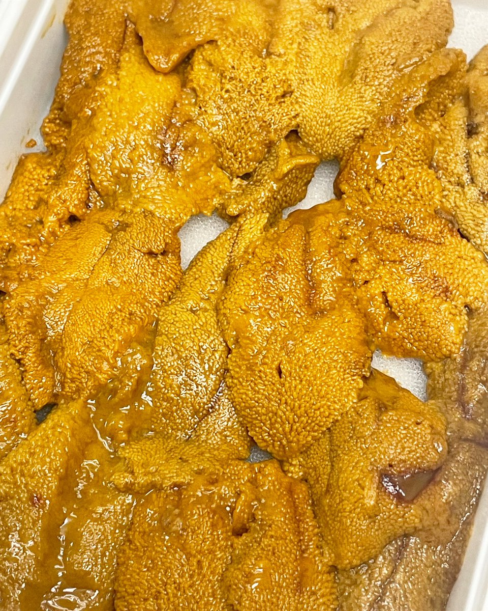donmaruhiro's tweet photo. おはようございます！
丼丸佐倉臼井店です！

本日より
数量限定で　ウニ　
販売致します！

トッピング　15g  200円
トッピング　30g  400円
手巻き寿司　ウニ 300円

数に限りがございますので
この機会にぜひご賞味下さい！ https://t.co/Oy1CV3hmap