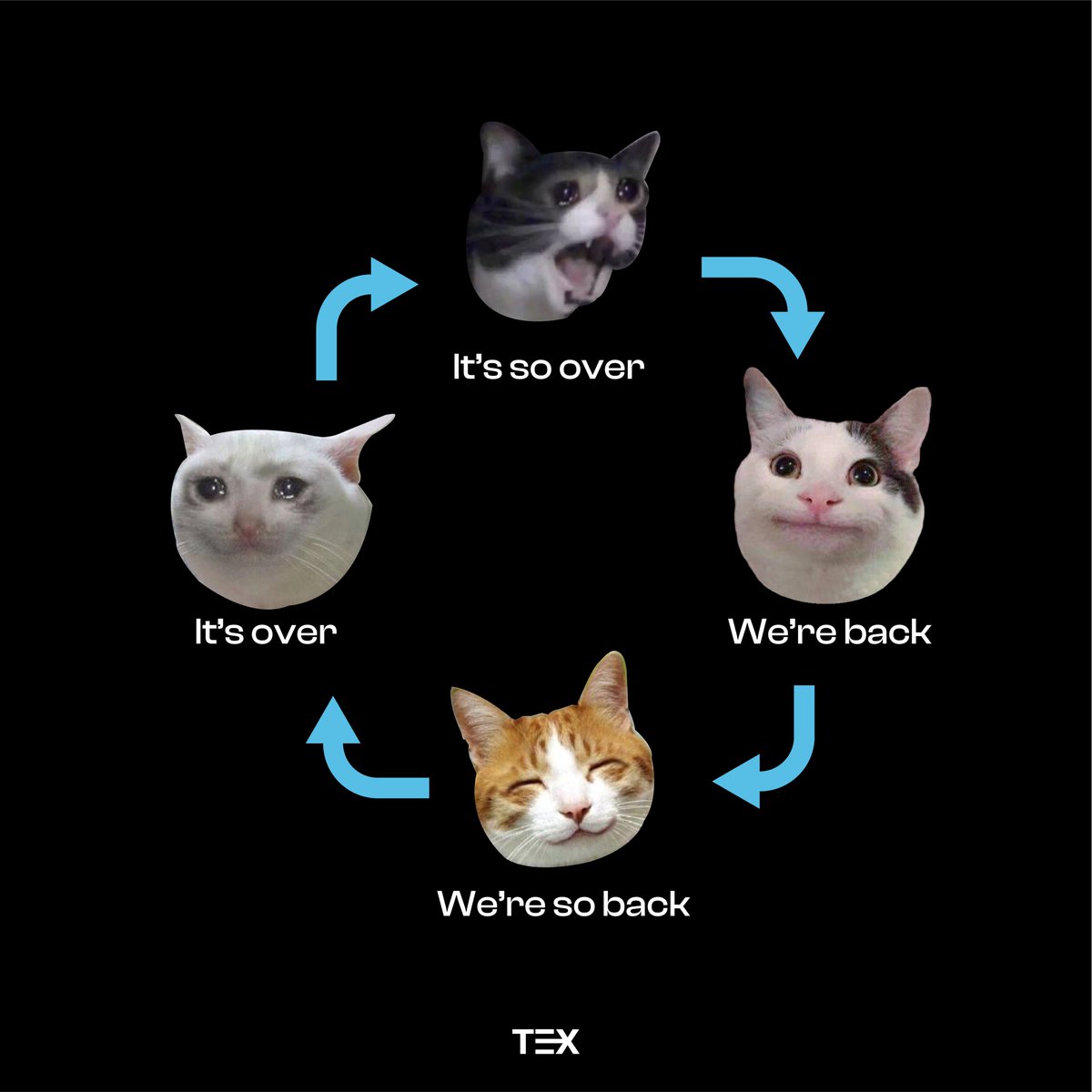TEXC tweet media