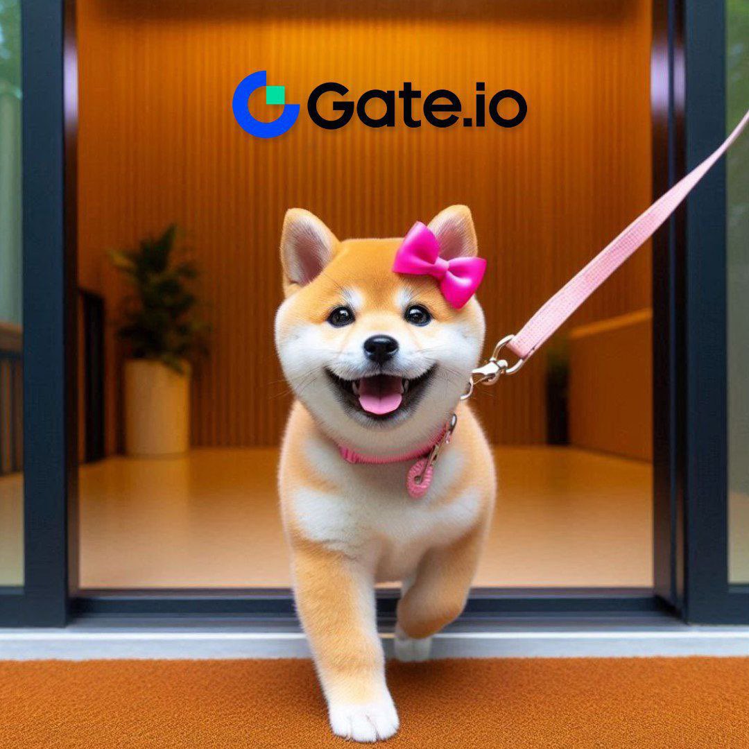 AguiarRd's tweet photo. @gate_io Dogita🚀✅ https://t.co/Odfru3Uf69