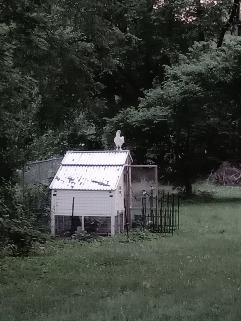 KingSamRooster's tweet photo. WHERE [very loud] GODS STAND GUAAAAAAAARD https://t.co/EbyBSMwxAu