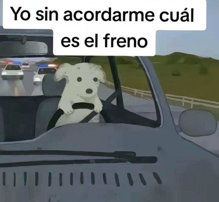 yo