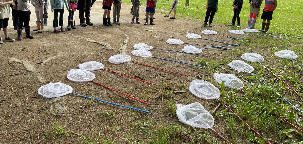 nadine1osborne's tweet image. #ForestSchool #MathOutside Grade 1 Fair Shares #BWDSB