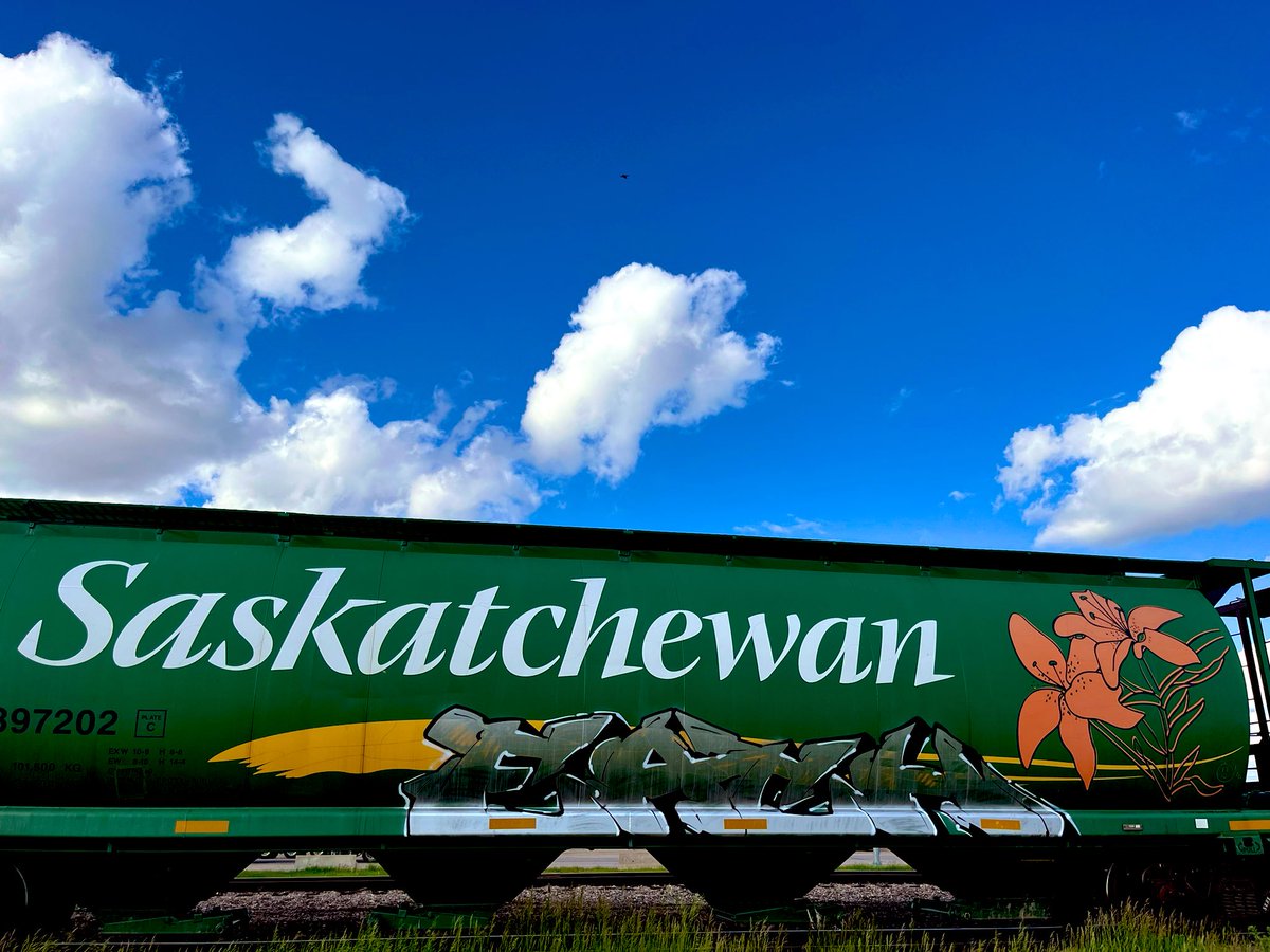 mleggturf's tweet photo. Awesome day in Moosejaw talking Art of App, and supporting Saskatchewan Turf Managers. What a province; so lucky to see the heart of our Country! #longviews @SyngentaTurfCA https://t.co/XFV0Uuh4uw
