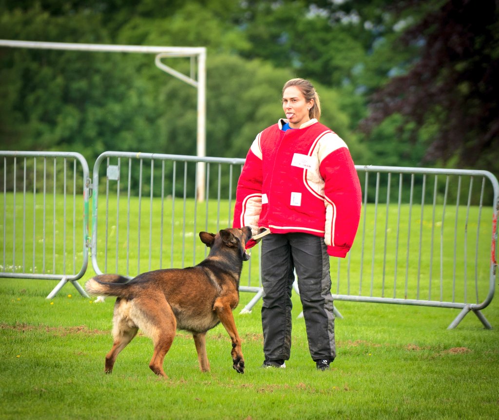 PoliceDogTrials's tweet photo. 62nd National Police Dog Trials https://t.co/kbriJMgOnQ