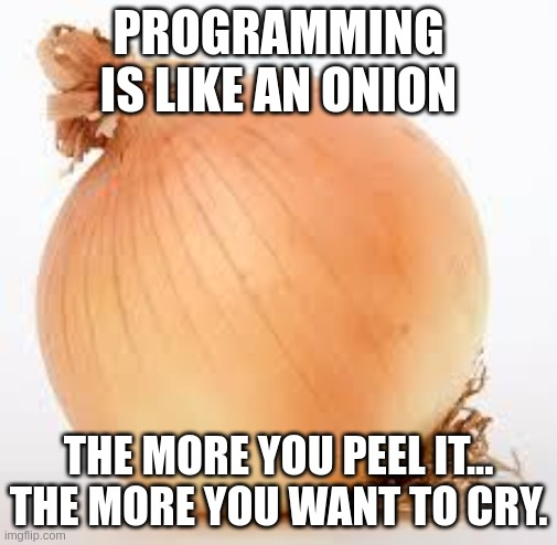 PR0GRAMMERHUM0R's tweet photo. programmingIsLikeAnOnion https://t.co/ILajs9UWJK https://t.co/lPZevpnciM