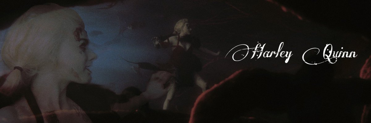 nightnightbats's tweet photo. ||•  New layout for now https://t.co/z32WdnDl79