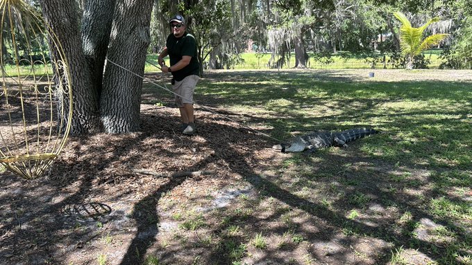 So this was walking around the yard today. https://t.co/43eu0TRy9t