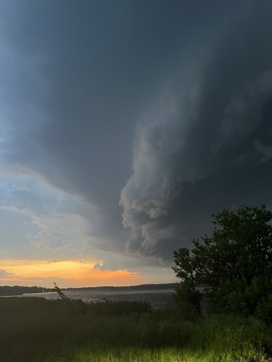 Tyrel 🇨🇦 tweet media