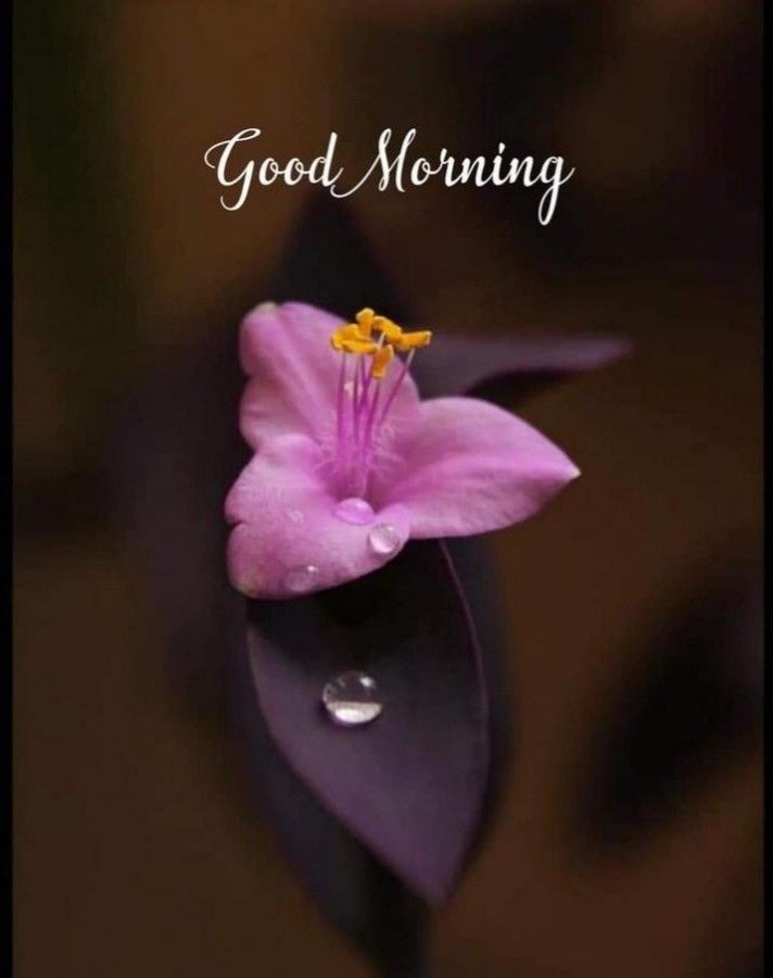 SENTHIL8930's tweet photo. @dhivya_dhurai https://t.co/dkPF6iOMds