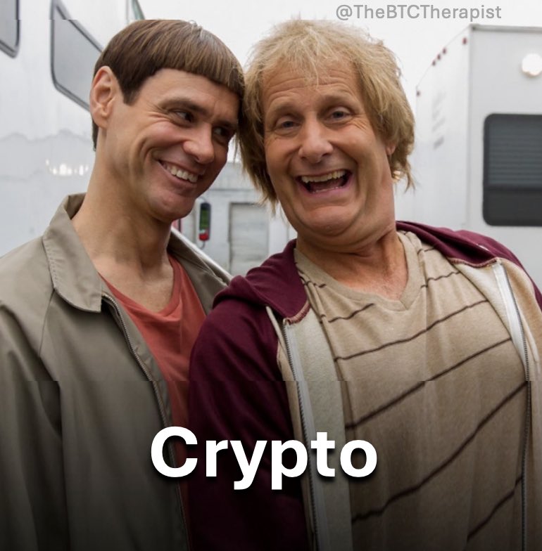 The ₿itcoin Therapist tweet media