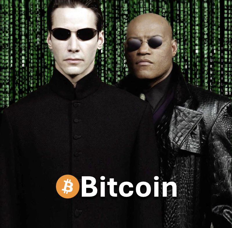 The ₿itcoin Therapist tweet media