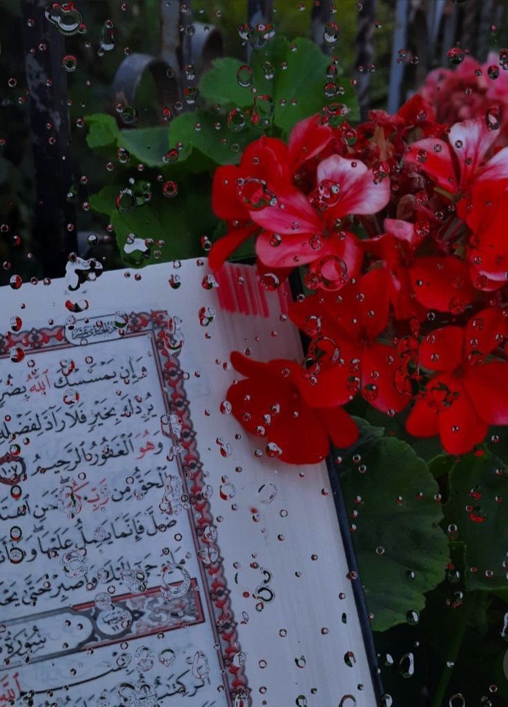 -

يا ربّ البركة التي لا يثنيها ضيقُ الوقت🕊️
ولا يقصيها الفتور، التي 
تسعُ كل ما لا تسعهُ الدقائق، 
التي تُثمر في أعمالنا وأعمارنا وأيامنا."

#صباح__الخيرِ  ✨
 # صباح_الأمــل_و_الرجاء🌴