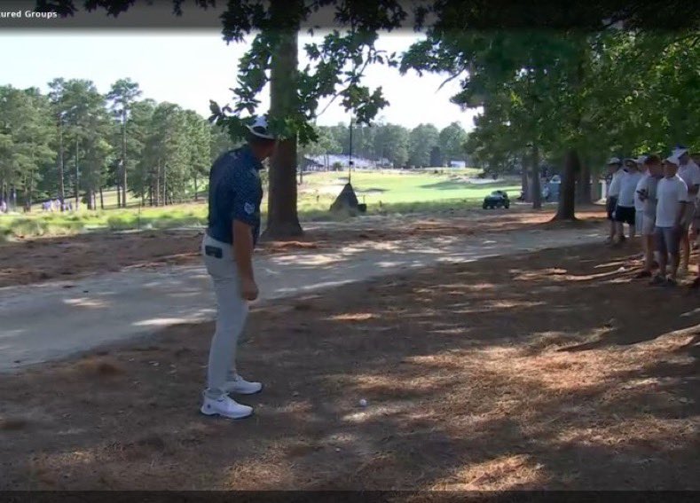 Flushing It tweet media