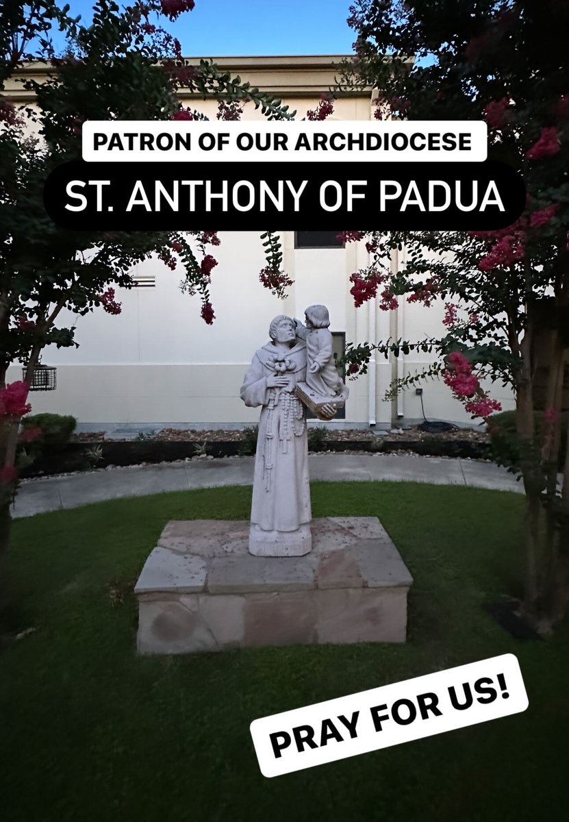 SAVocations's tweet photo. Happy Feast of St. Anthony of Padua! 🙏 https://t.co/XwjgLewLyT