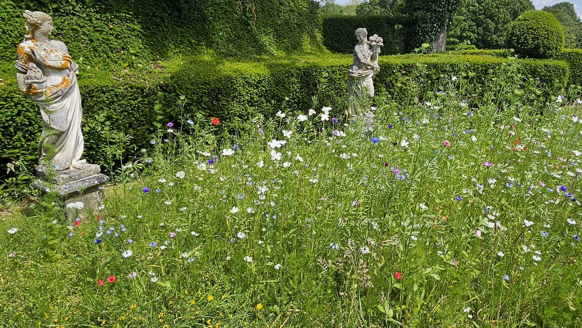 Hole Park Gardens tweet media