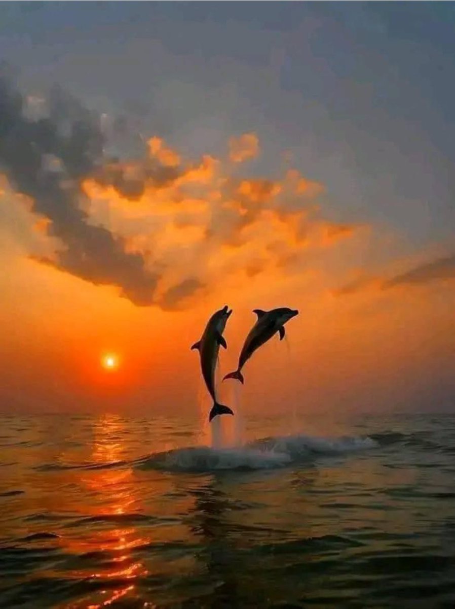 MarcCanter3's tweet photo. good evening https://t.co/sysgUuU1Js