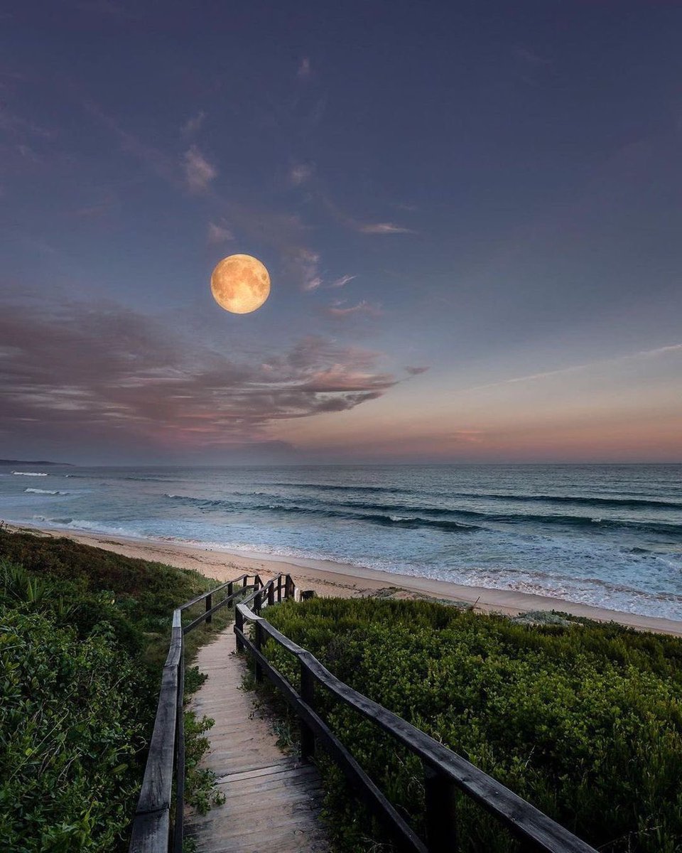 moonloverxjpg's tweet photo. la luna y el mar https://t.co/2nvhlPpNjE