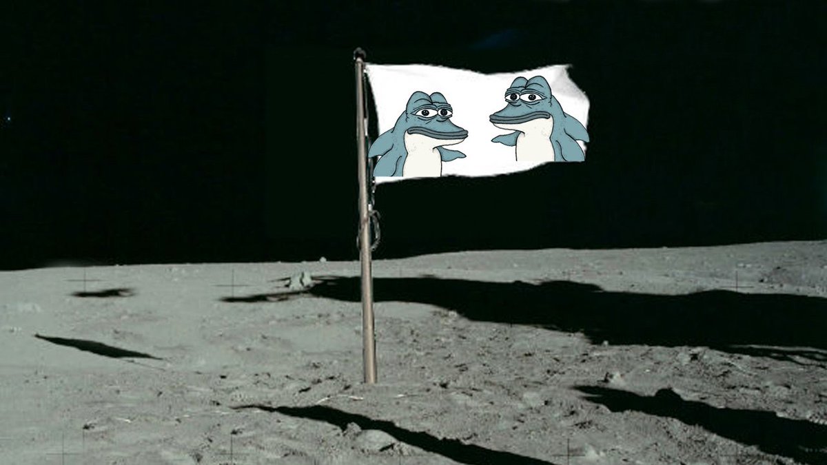 FlipeTheDolphin's tweet photo. Phase 1 is complete..... now starting phase 2 👀🐬🤫 https://t.co/YihFjAy5ln