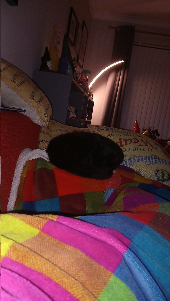 Adrienne Armstrong tweet media