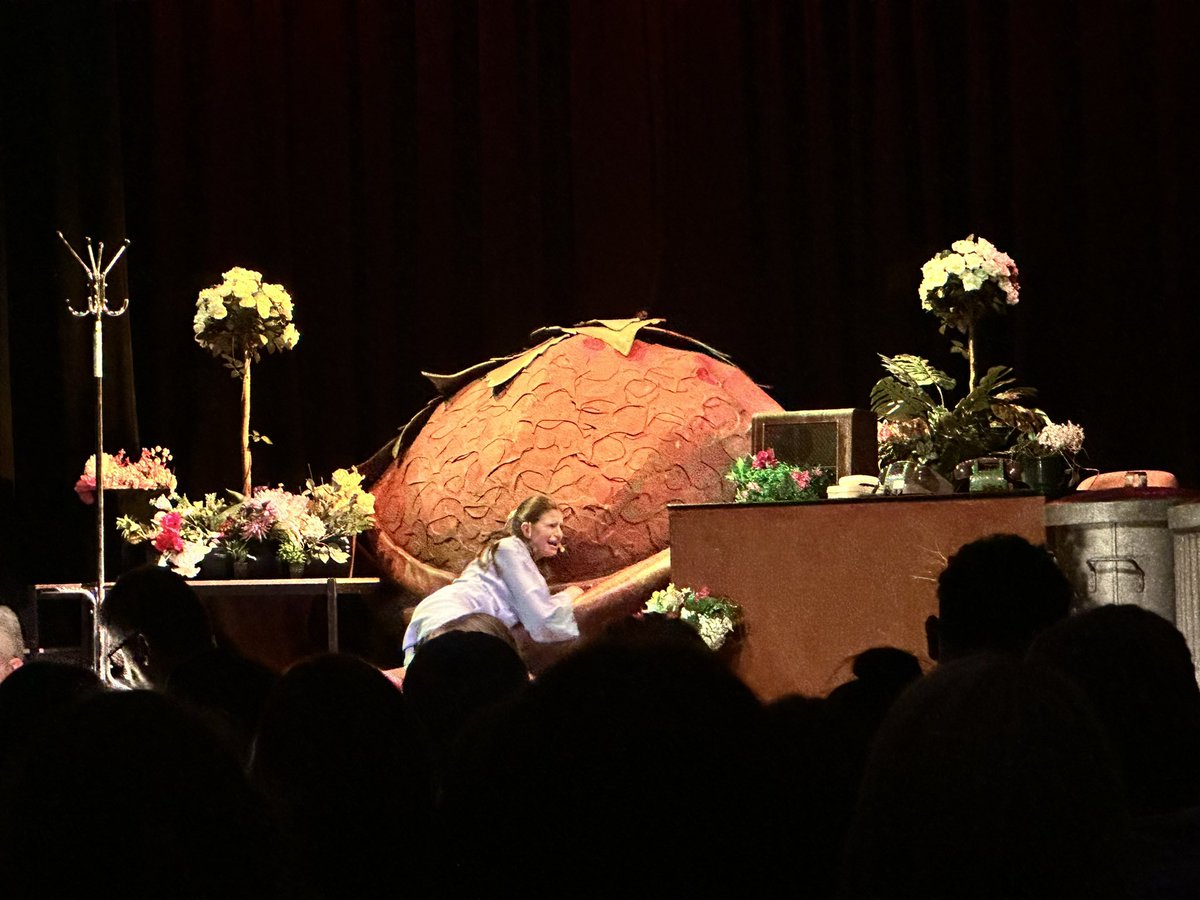 Highlights from the 2nd half performance of #littleshopofhorrors #talent #wearechrystonhighschool
