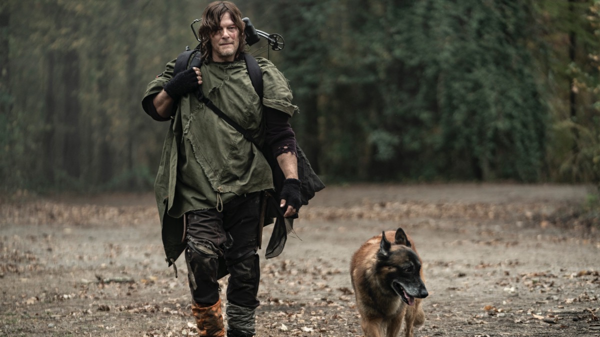 Seven, the beloved Belgian Malinois who played Daryl's dog on #TheWalkingDead, has died. Norman Reedus paid tribute to the "best TV buddy ever": 

comicbook.com/tv-shows/news/…