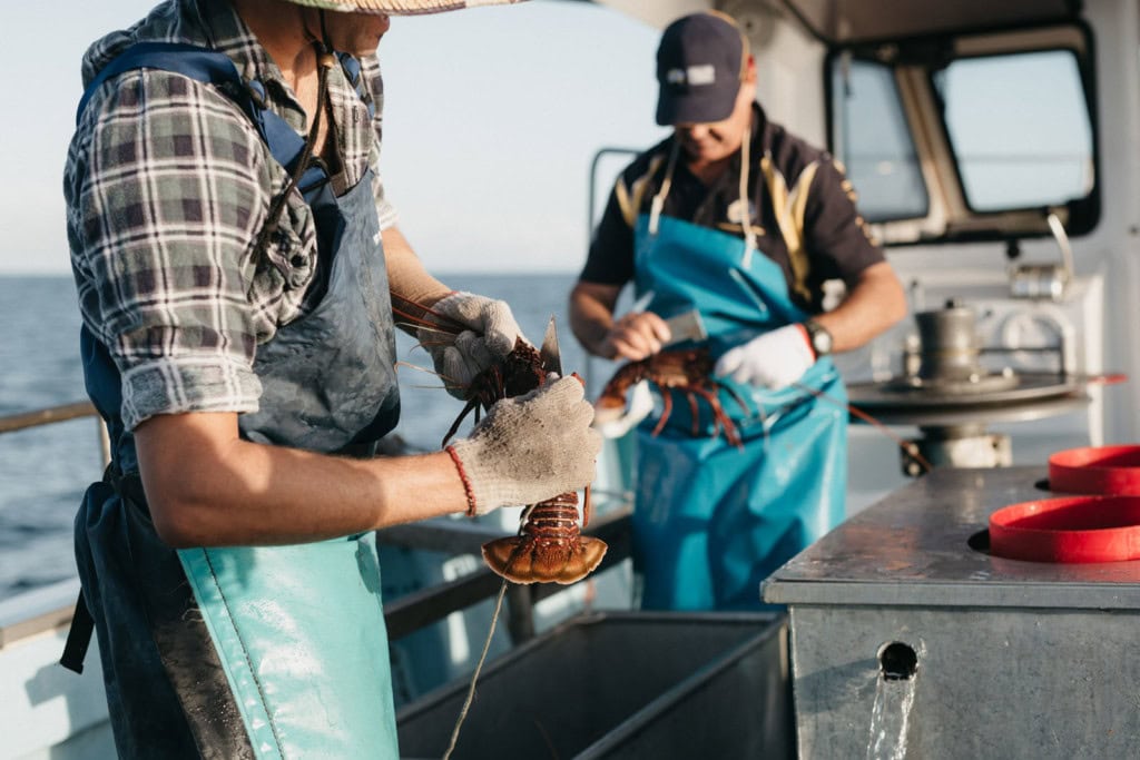 When lobsters tanked: A new tool is helping the lobster fishing industry navigate tough times by measuring and demonstrating value. 🦞 ow.ly/1wZL30sEbMm