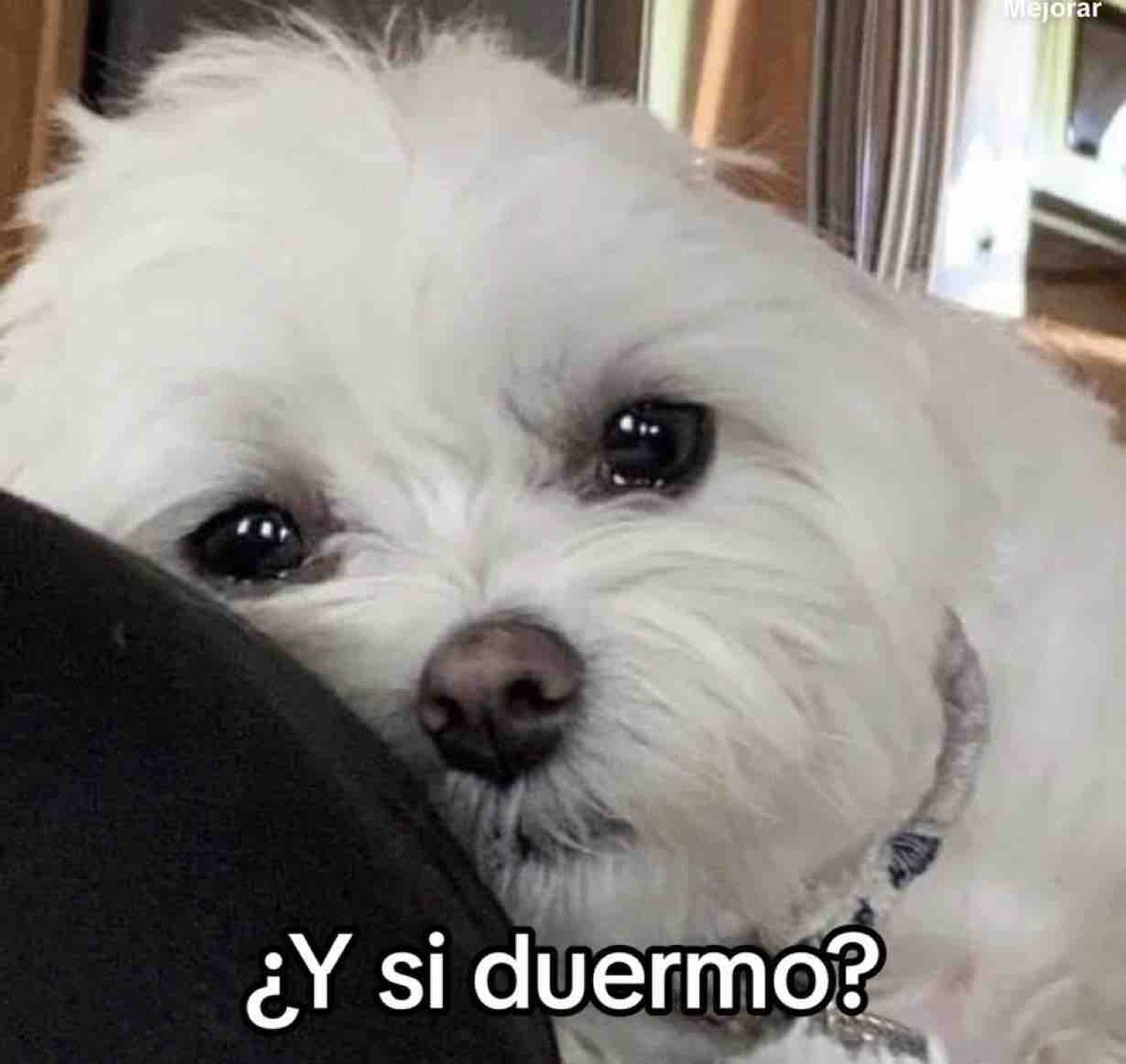 *Tengo un minuto libre en el trabajo*

Yo automáticamente: