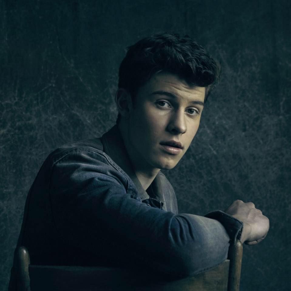 tracklist's tweet photo. FOI LUZ! O álbum "Illuminate", de Shawn Mendes, ultrapassou 7 BILHÕES de streams no Spotify. 💙 https://t.co/tJHV2021c1
