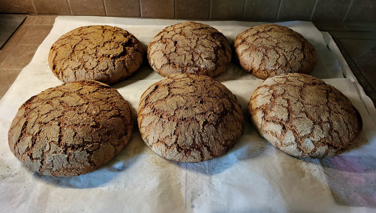 Sormulanmummo's tweet photo. Maalta tulee ruoka kaikkien pöytään. Arvostetaan suomalaisen, puhtaan ruuan tuottajia. Arvostetaan maaseutua ja luodaan sinne hyvät elämisen edellytykset.
#maatalous #viljely #kotimaisuus #lähiruoka #viljat #ruis #ruisleipä #tuottajat #maanviljely https://t.co/S43BqVejTB