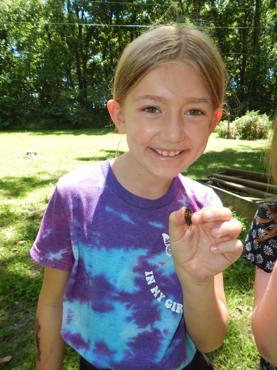 Girl Scouts of Southern Ilinois tweet media