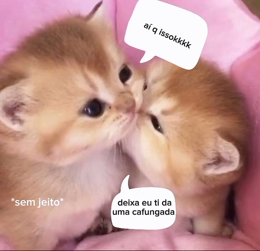 memeparaoarroba's tweet photo. https://t.co/tEVEIcuB4f