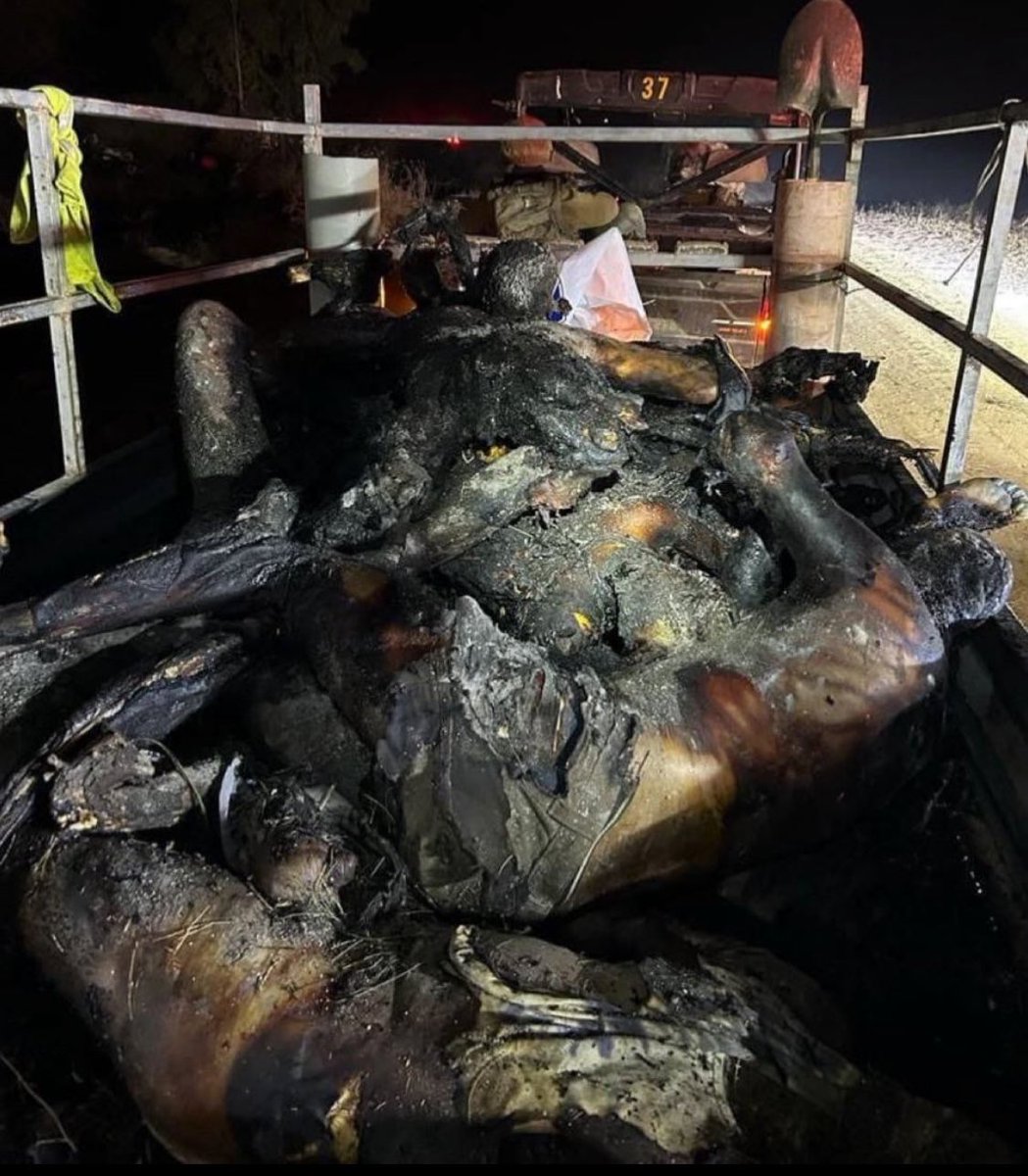 GabyLob's tweet photo. El 7/10 Hamas quemó gente viva.

El único motivo por el cual Hezbollah esta “solo” incendiando bosques, es porque no hay gente viviendo en el norte.

Entiéndanlo de una vez, el único motivo por el cual no nos aniquilan, es porque no pueden. https://t.co/r46jqZ1cD0