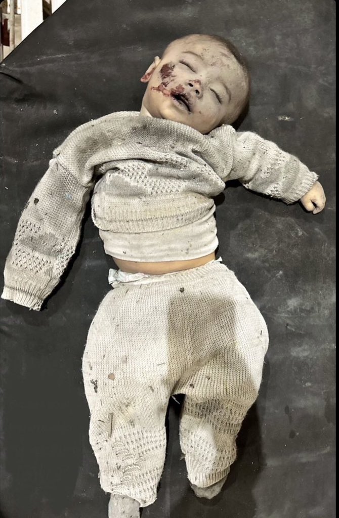 Emelia8z0's tweet photo. He was just an innocent baby https://t.co/pixZh8tJUY