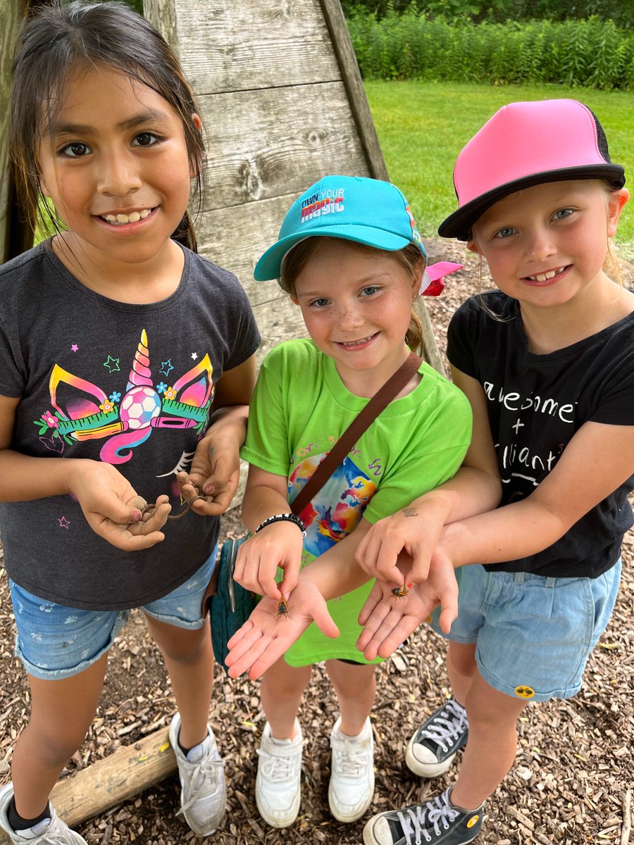 Girl Scouts of Southern Ilinois tweet media