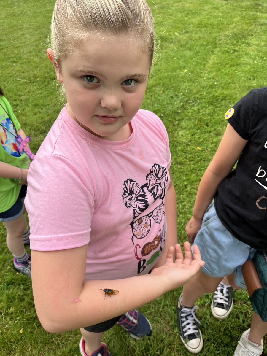 Girl Scouts of Southern Ilinois tweet media