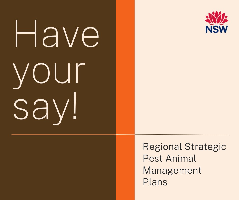 Have you heard of Regional Strategic Pest Animal Management Plans? 

They play an important role in how pest animals are prioritised and managed in your local area.  

Find out more about the plans, who contributes and how you can have your say at
haveyoursay.nsw.gov.au/pest-animal-ma…
