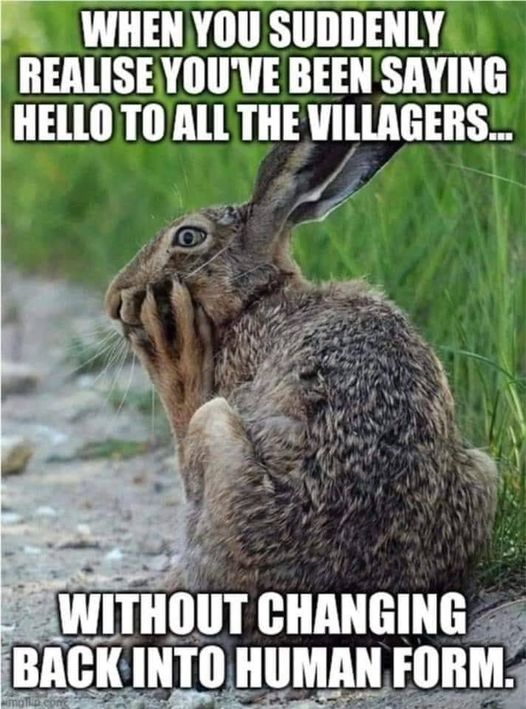 SubRosaMagick's tweet photo. "It was generally believed that witches could assume the shape of a hare. A hare of twenty years was supposed to become a witch, and a witch of eighty turns into a hare again."
Folklore of Wales (1909)
#FolkloreThursday #Wales #WelshRabbit https://t.co/id0R4yBZcg