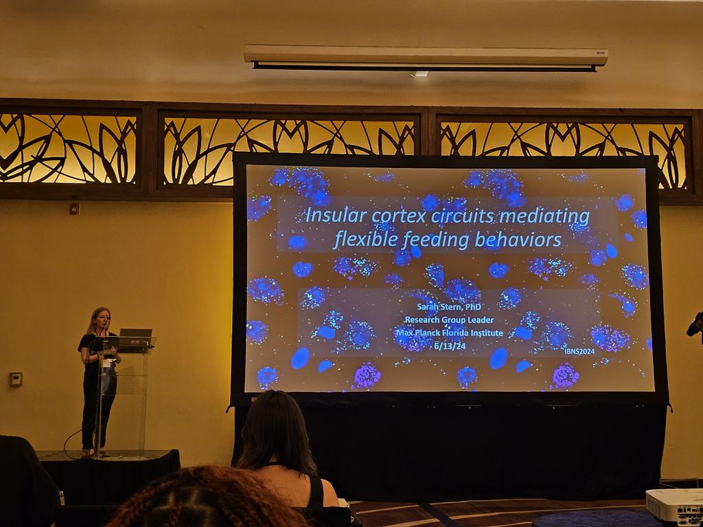 WillliamSanchez's tweet photo. Impressed by @sarah_stern team work at #IBNS2024 @IBNSconnect, showing how Nos1+ neurons in the Insular Cortex are involved in overeating and flexible feeding behaviors related to the context. https://t.co/tieNJinj3Q