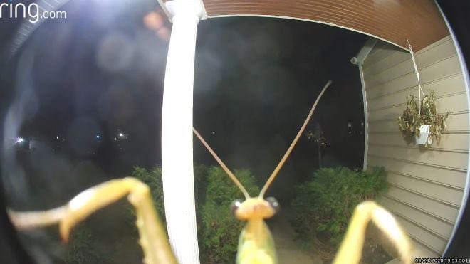 Hello do u have a moment to listen to me scream https://t.co/dHBL0DJmWC