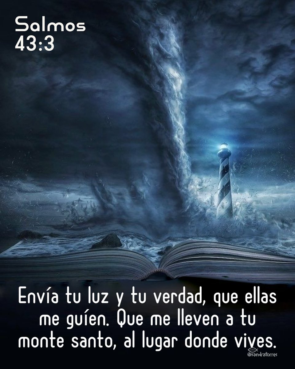 tolocarsa tweet picture
