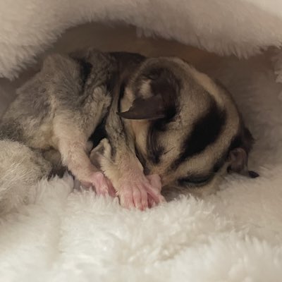 kaoru0826's tweet photo. #新しいプロフィール���像 https://t.co/H6OfR149wX
