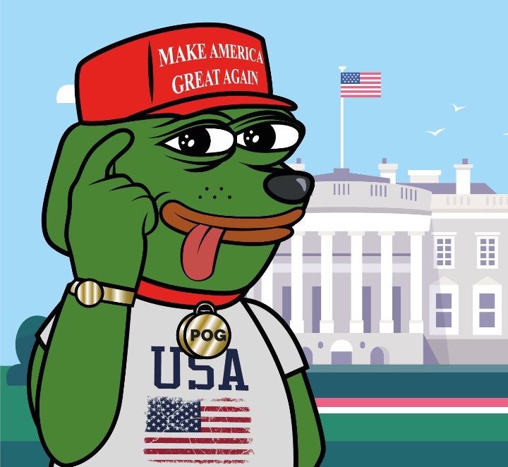 Pog tweet media