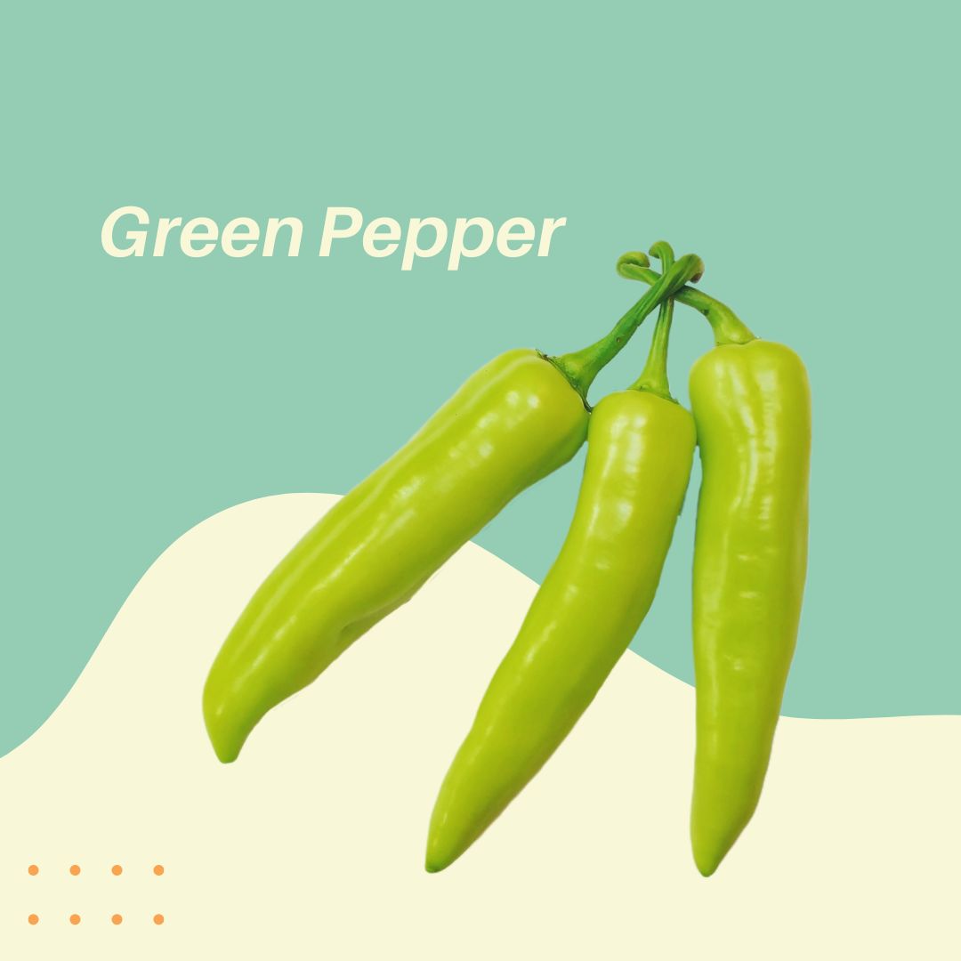 Interfresh's tweet photo. Crunchy, colorful, and oh so delicious! 🌶️💚 Don't forget to add some green peppers to your next meal for a burst of flavor and nutrients. #GreenPeppers #HealthyEating #VeggieLove 🌱 https://t.co/W1RSfuFQag